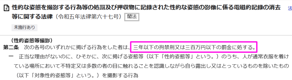 盗撮や流出を罰する法律の条文を示すe-Gov画面